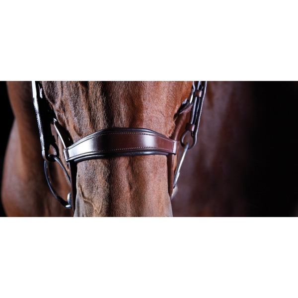 Collegiate Comfitec Crystal Bridle 8077 - Brown